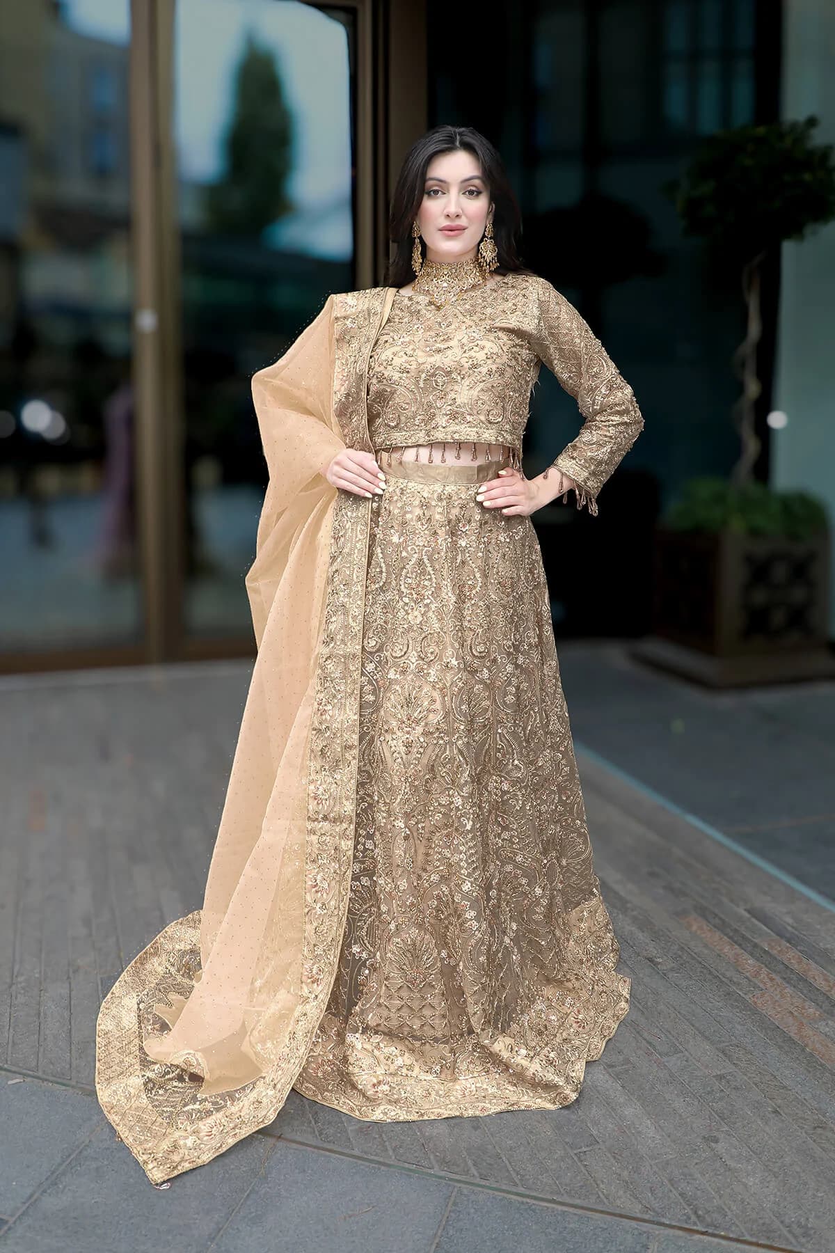 Mohsin Naveed Ranjha Emran Kaxhif Hand Embellished Organza Party Wear Suit – Model Front View Mohsin Naveed Ranjha Emran Kaxhif Hand Embellished Organza Party Wear Suit - Model Front Look | Pakistani Designer Replica Wholesale | IQNAZ